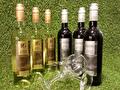 Giorgio&Gianni Nerro &Pinot Grigio