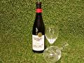 Glorioso Rioja