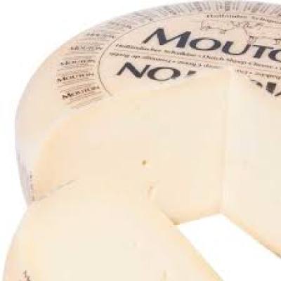 Mouton Schapenkaas